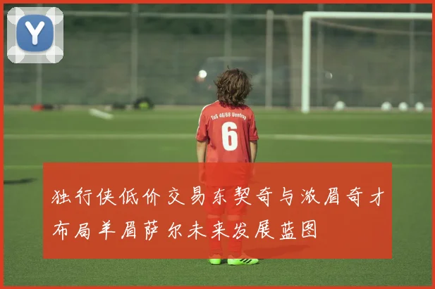 独行侠低价交易东契奇与浓眉奇才布局羊眉萨尔未来发展蓝图