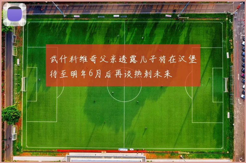 武什科维奇父亲透露儿子将在汉堡待至明年6月后再谈热刺未来